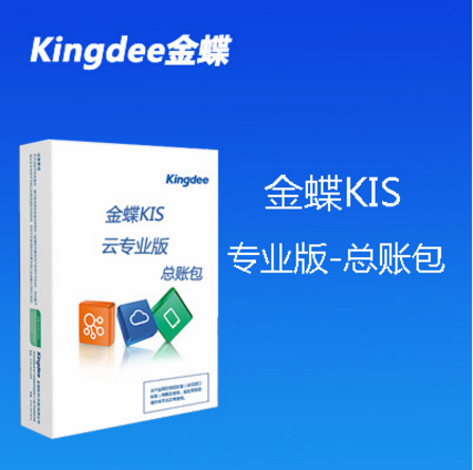 云专业版V15.0总账包